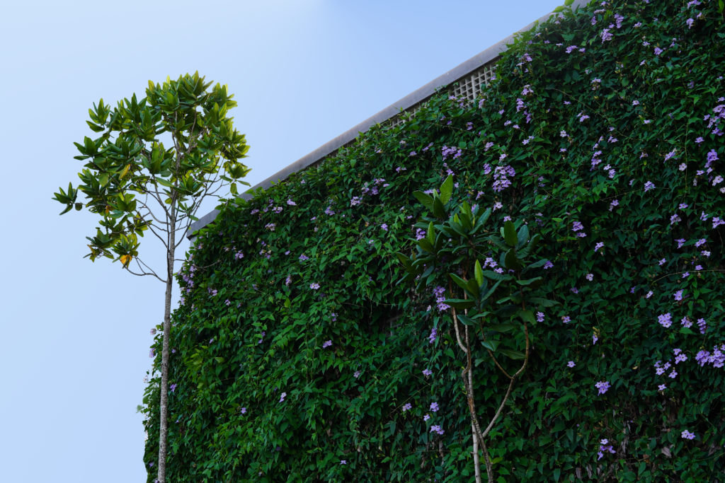 Espaço de evento arborizado e bonito